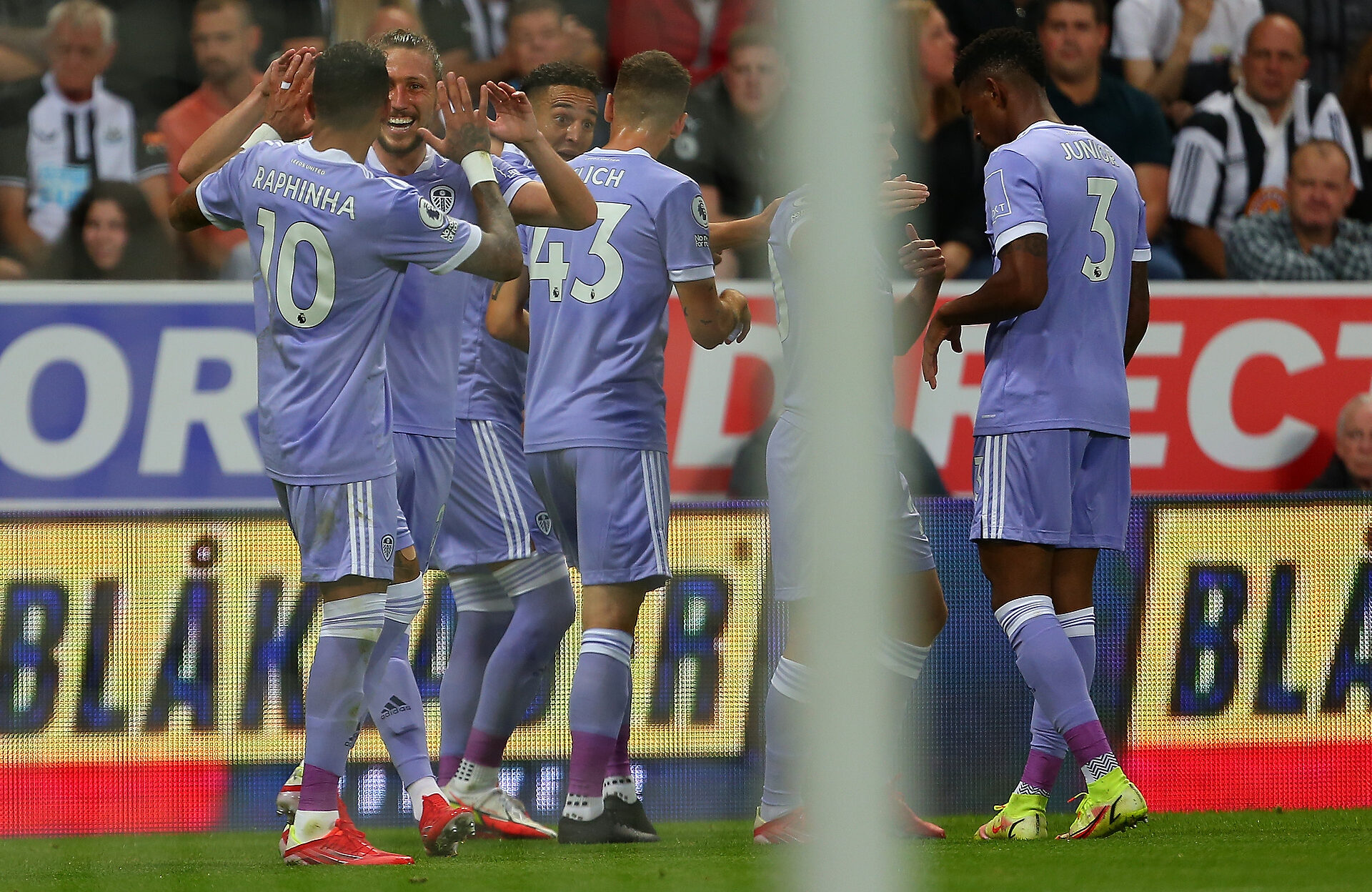 leeds-united-mateusz-klich-raphinia-typy-premier league