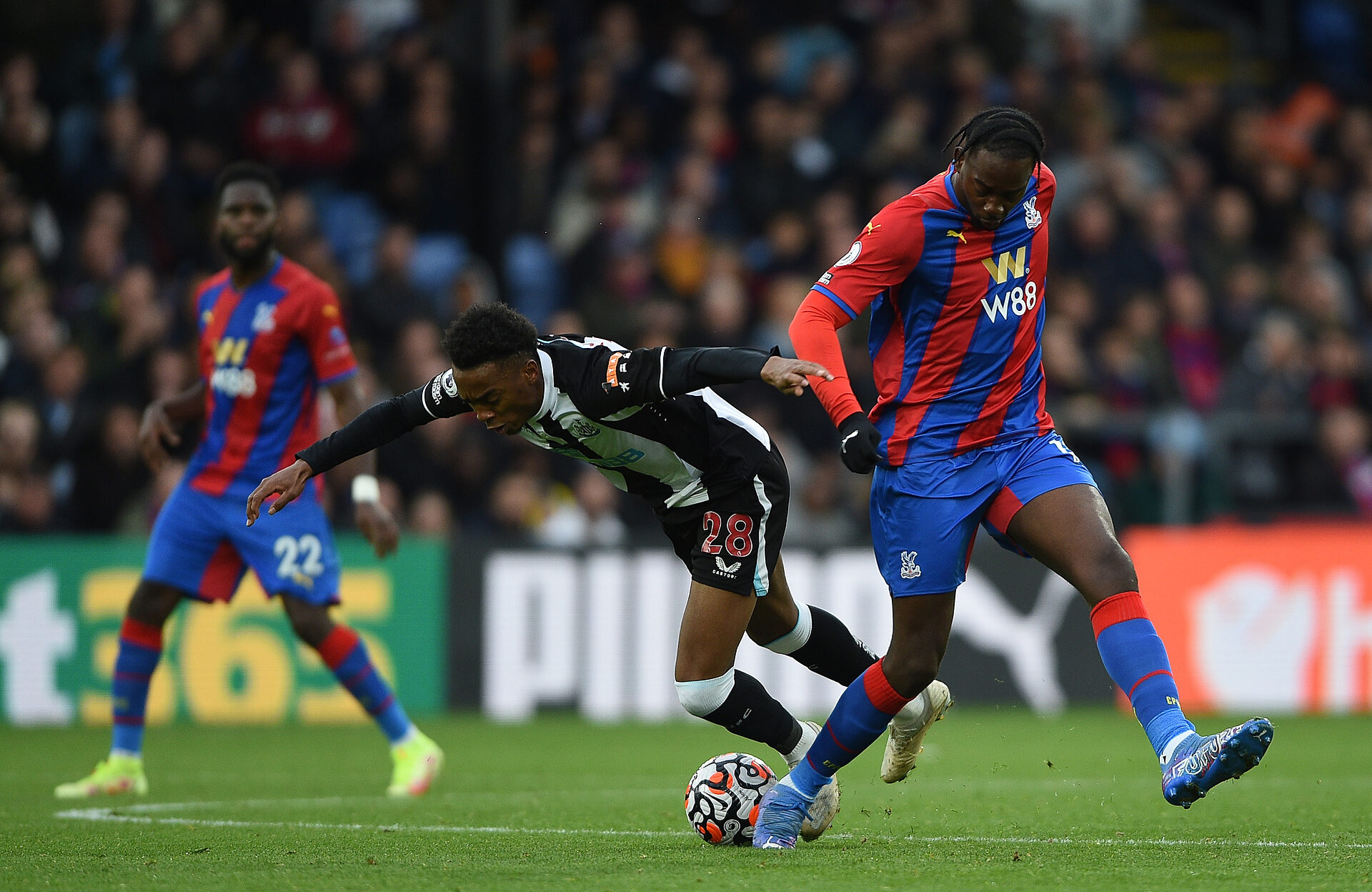 crystal-palace-newcastle-premier-league-typy