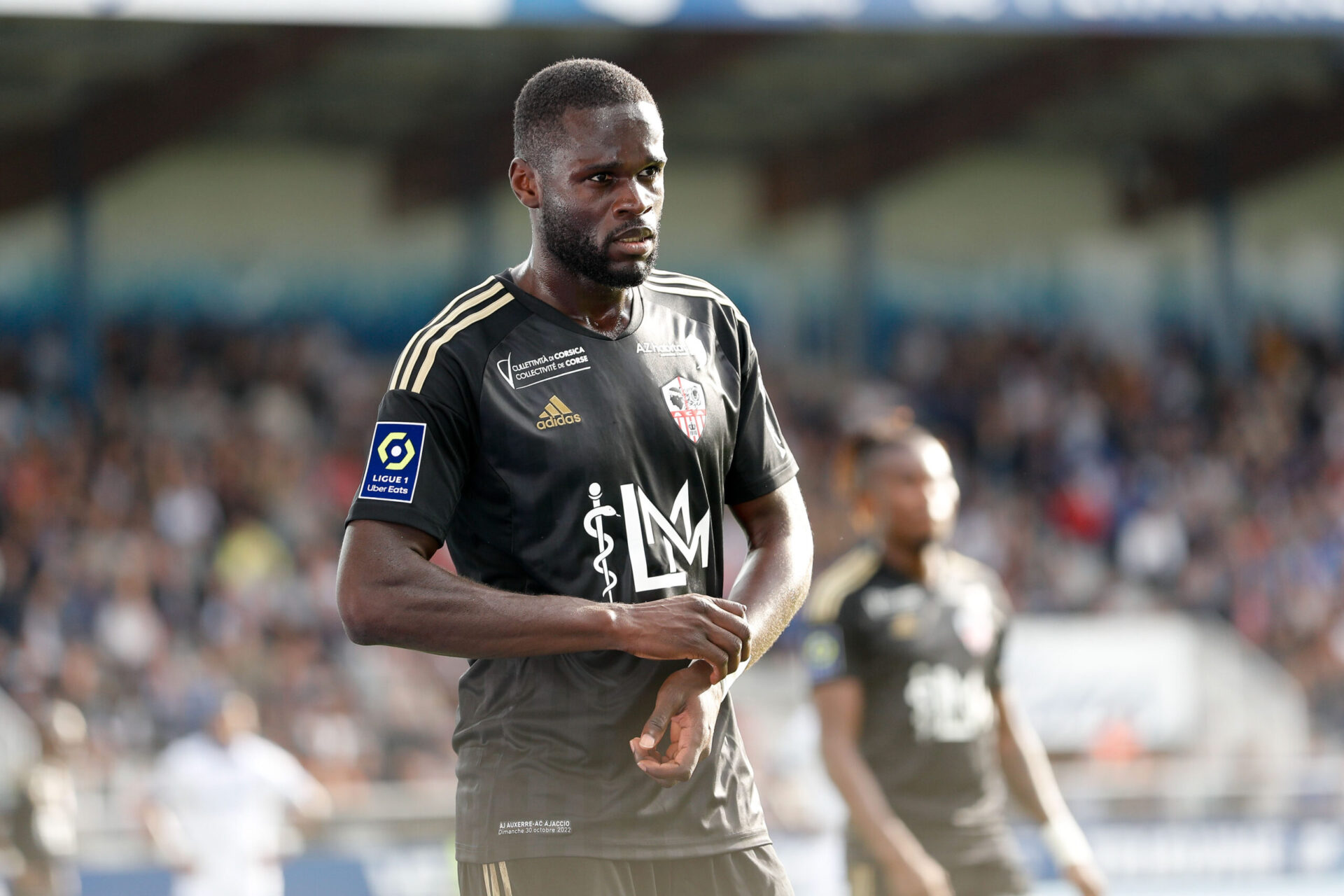 AC Ajaccio - Reims: Typy, kursy, zapowiedź 11.01 | Ligue 1
