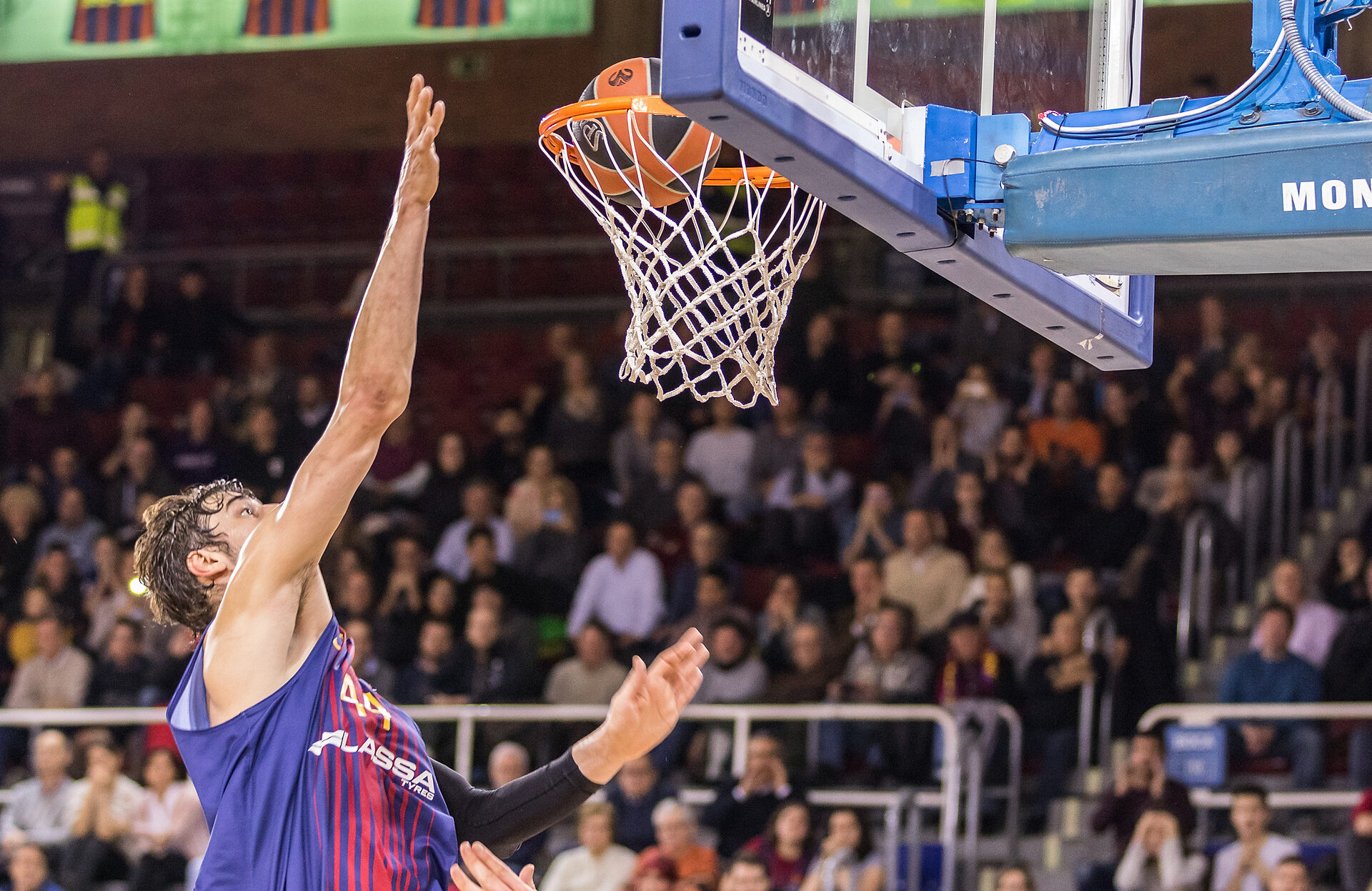 barcelona-koszykowka-typy-dnia-euroliga