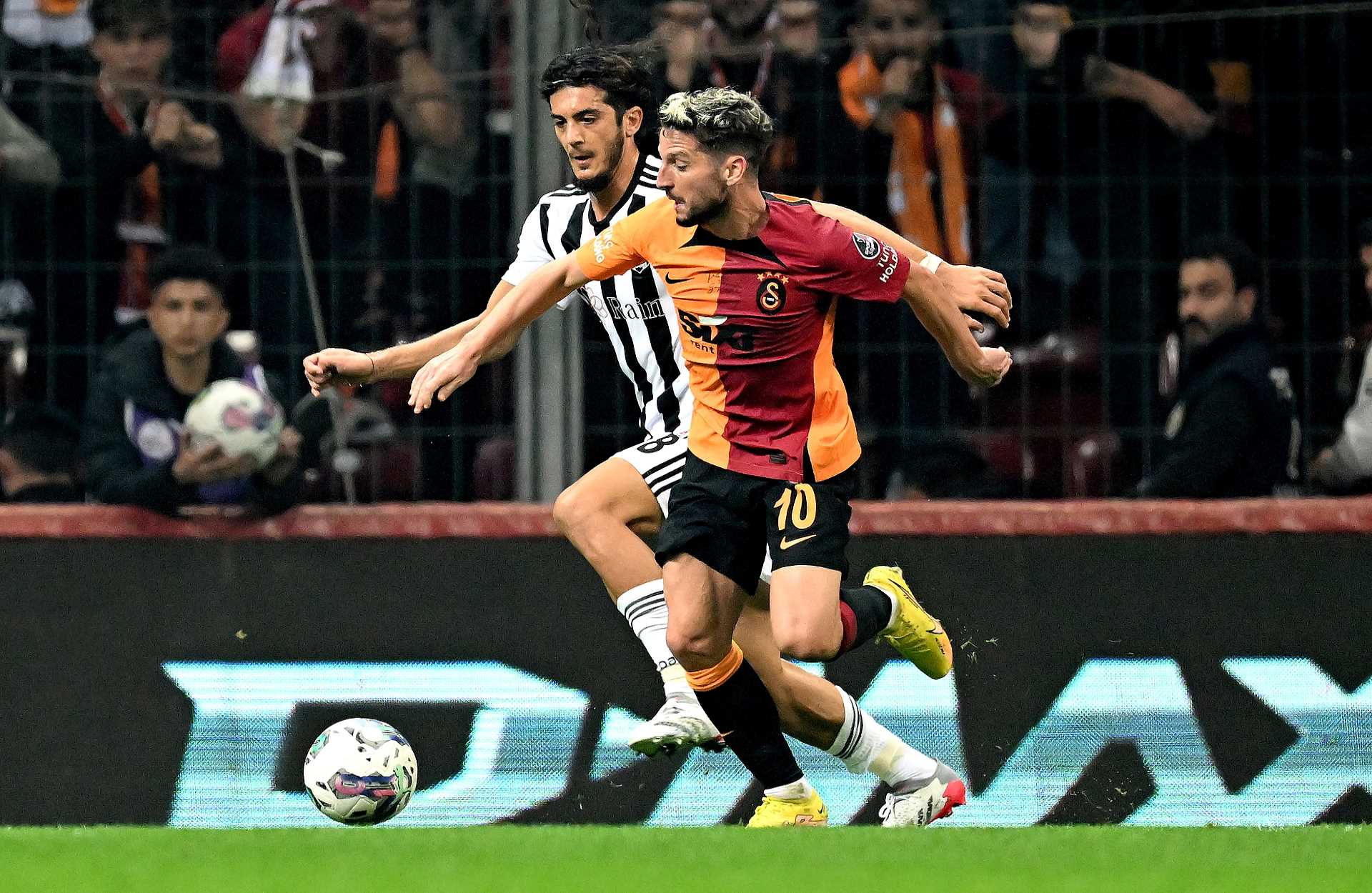 typy dnia Mertens