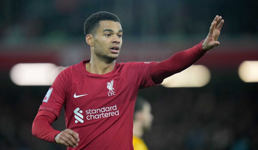 Premier League Liverpool Gakpo