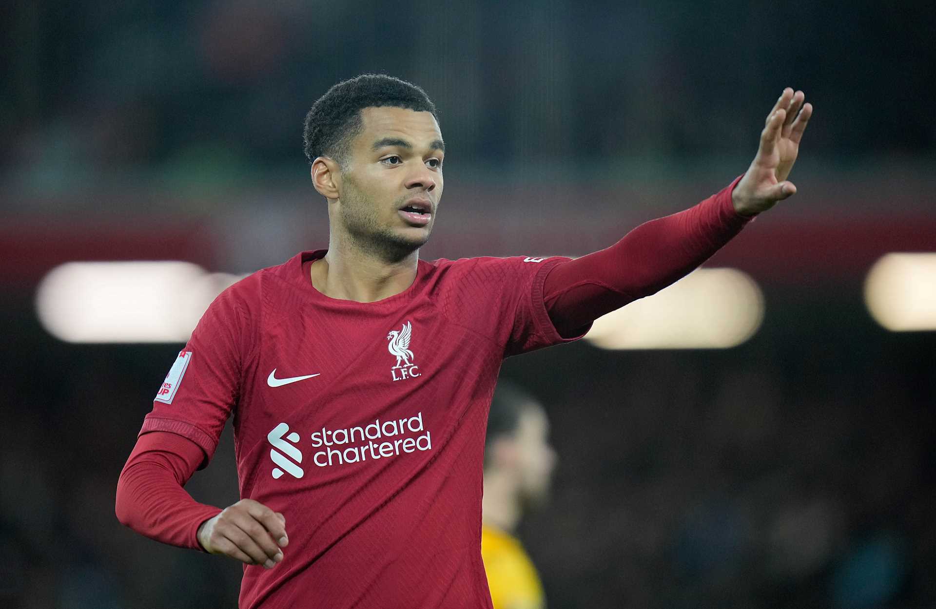 Premier League Liverpool Gakpo