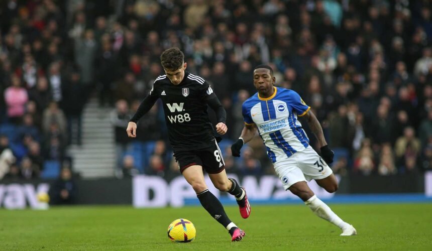 Fulham Brighton