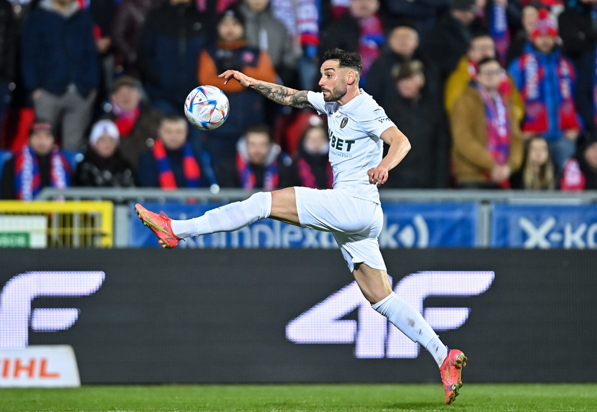 Śląsk Wrocław - Stal Mielec: Typy, kursy, zapowiedź 18.03. Ekstraklasa