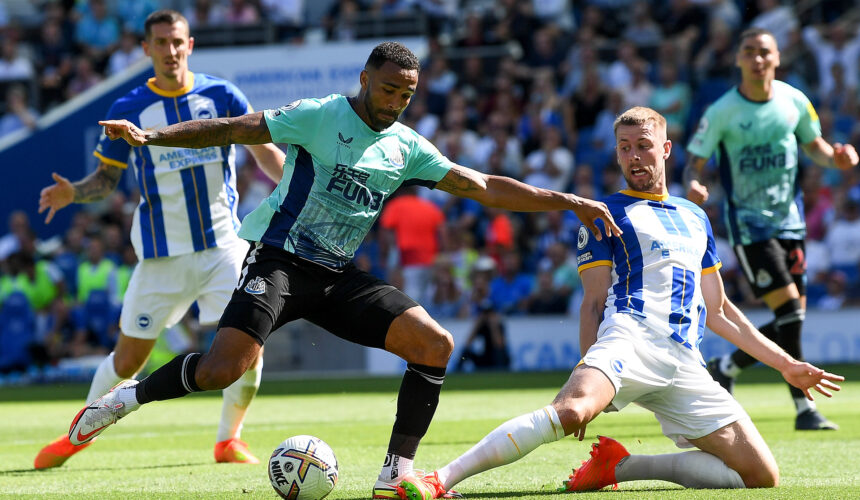 brighton-newcastle-typy-typowanie-premier-league-callum-wilson