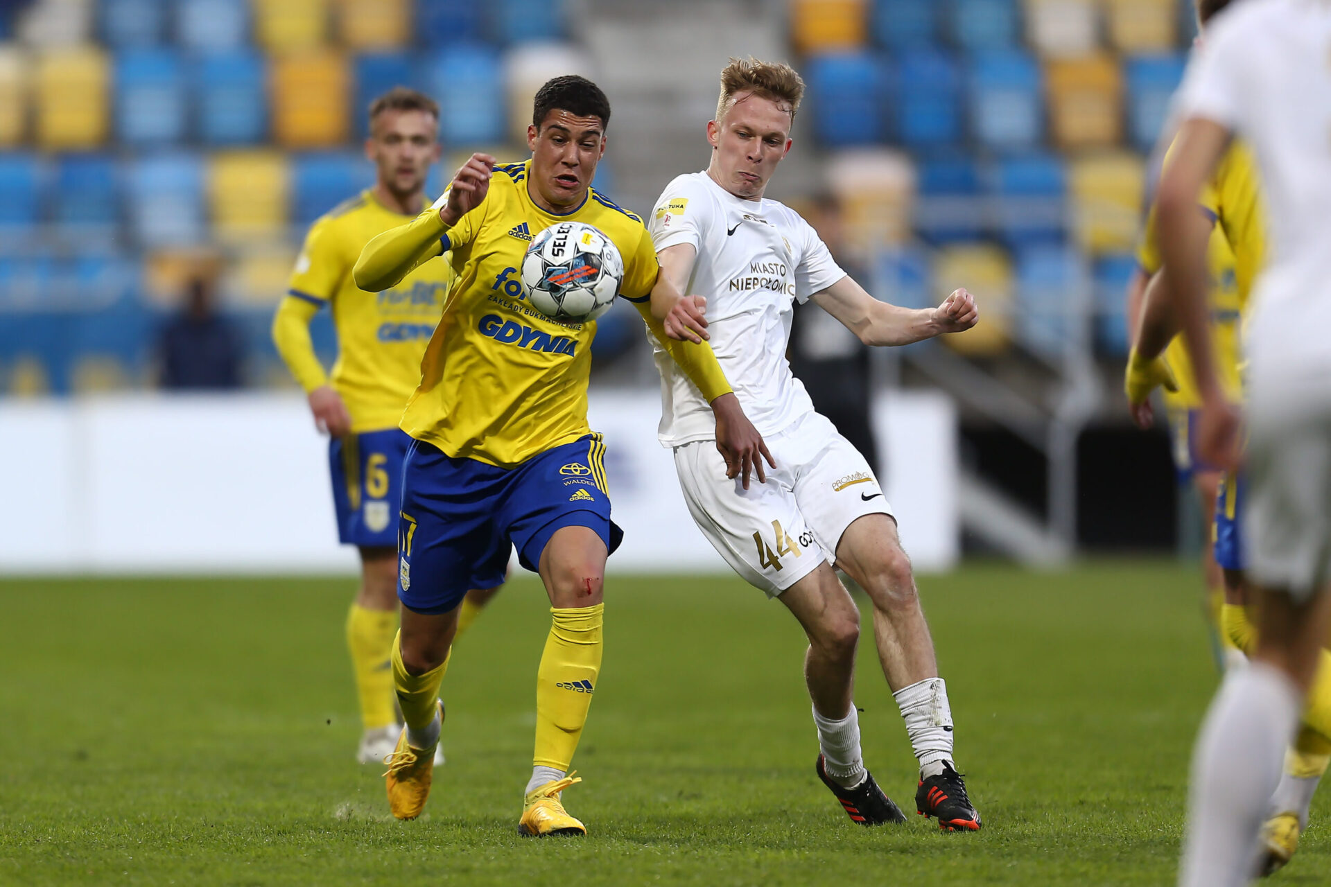 Arka Gdynia - Miedź Legnica: typy, kursy, zapowiedź | 17.09 1. liga