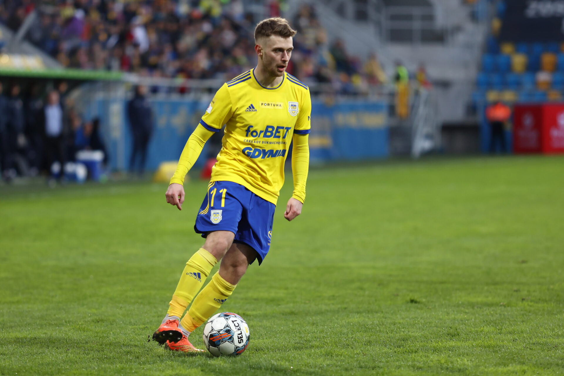 Stal Rzeszów - Arka: typy, kursy, zapowiedź 07.05 | I Liga