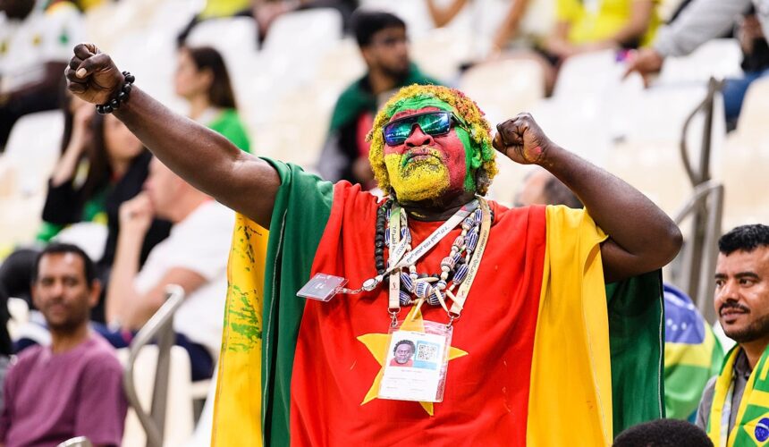 Kamerun, typy