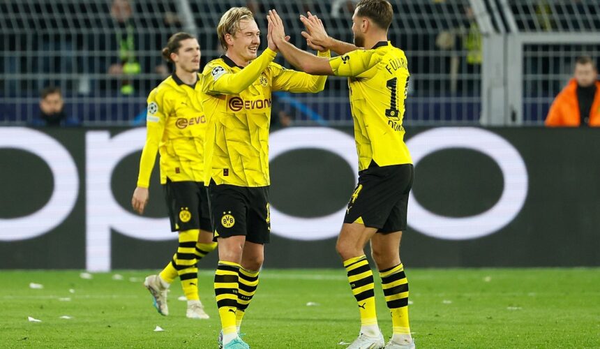 Borussia Dortmund, typy